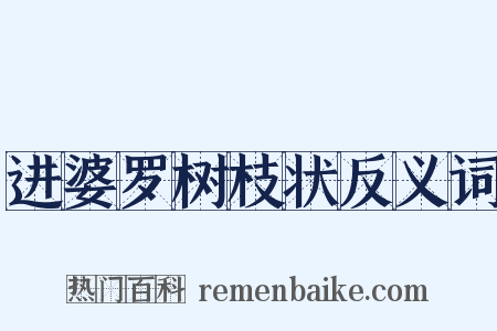 进婆罗树枝状反义词是什么意思的图片